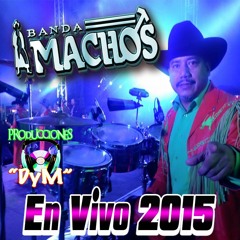 La Hermana Banda Machos En Vivo