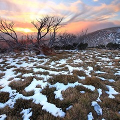 Winter Morning (live ambient soundscape)