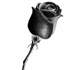 Scarlet - Black Rose Mix