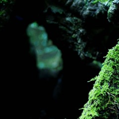 INSIDDE (beatless Version)