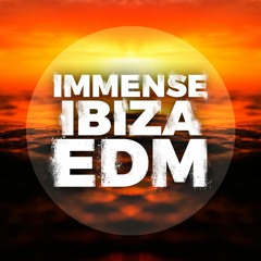 Immense Ibiza EDM Demo
