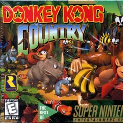 Bonus Stage - Donkey Kong Country