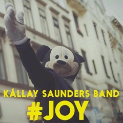 Kallay Saunders Band - Joy_mp3