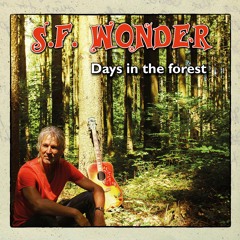Listen To The Water (by S.F. Wonder)