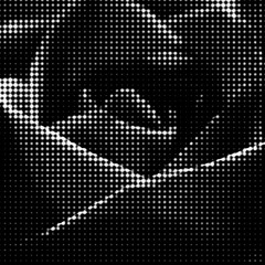 Olivia Fern - Illuminate