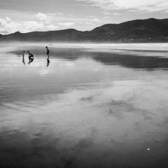 The Sporting Life - The Decemberists (cover)