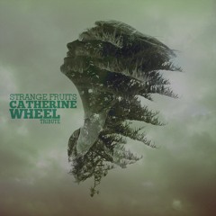 Catherine Wheel - NUDE (HIGH&DRYs tribute)