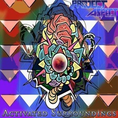 Activated Surroundings (2015)