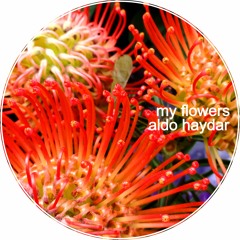 Aldo Haydar / My Flowers / B (Julio 2016)