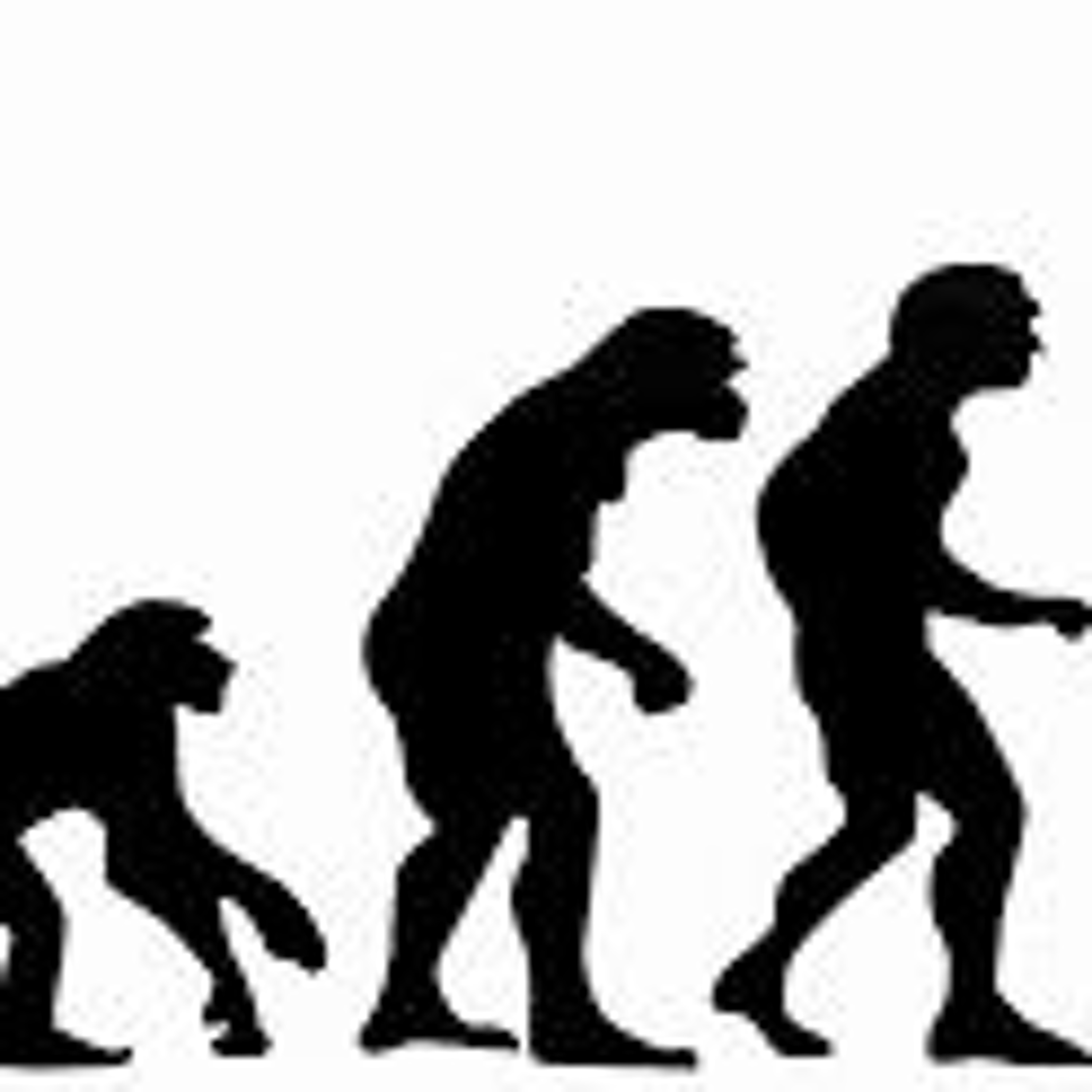 Evolution (FREESTYLE) episode artwork