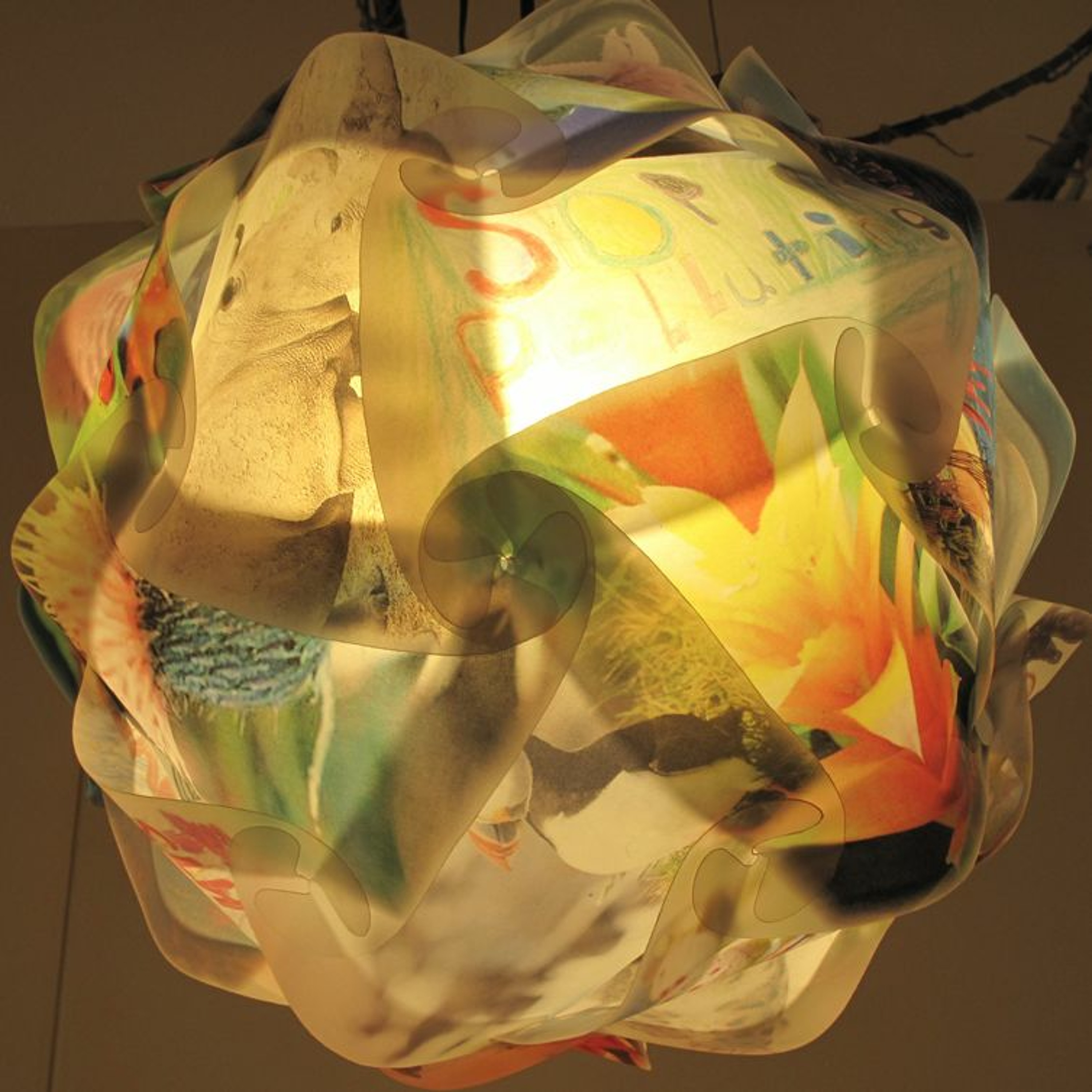 Seed Story Broadcasts