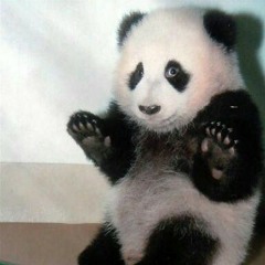 Everybody Dance - Wildones