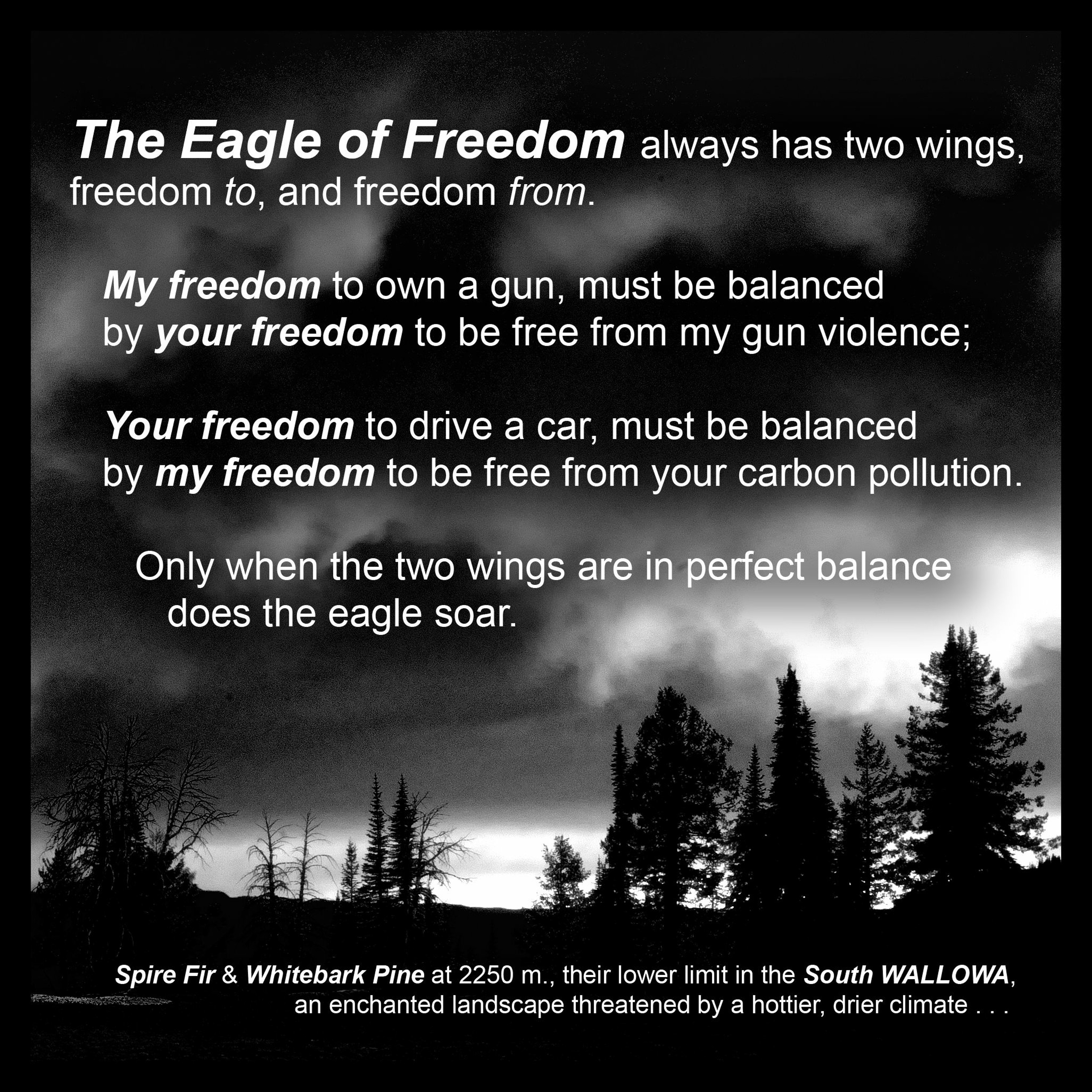 THE EAGLE OF FREEDOM, an introduction based on the original MINIATURE... episode artwork