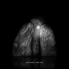 PRÉMIÈRE: Black Water - Saddest Day [Partyzanai]