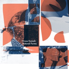 Natural Forms EP