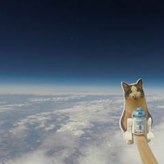 Ibkez@Space Annexia 14.06.2016(vinyl only)