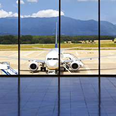AIR TRAVEL - Airport Ambience Korea Incheon Main Hall
