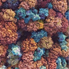 Early Jdubb X Dub 2x