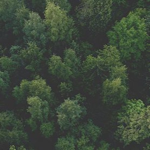 Efflorescence - West Australian Symphony Orchestra