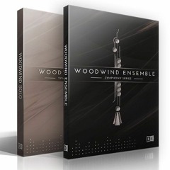 Jeremiah Pena - Faeries And Dragons - SSeriesWoodwind Bundle