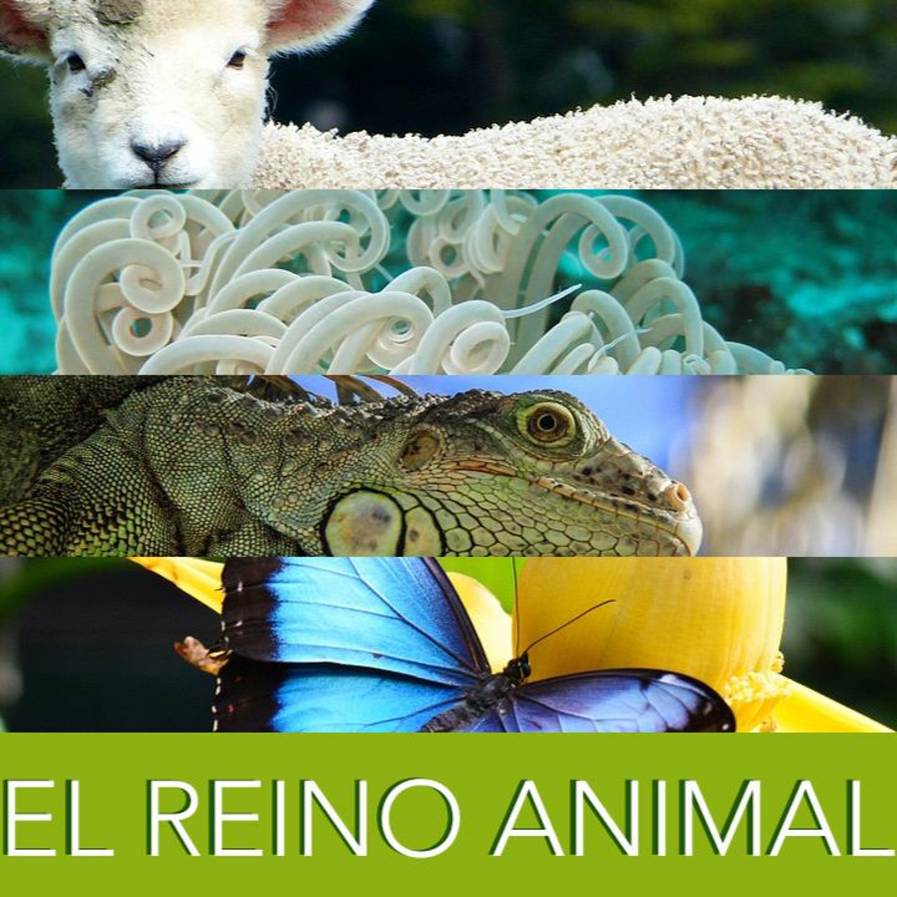 BioEnciclopedia
