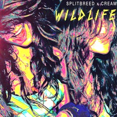 Splitbreed & Cream - Wildlife [FREE DOWNLOAD]