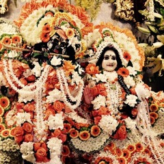 Nila Madhava - The Day After - Part 1 - Rathayatra 2016 at Radha Govinda