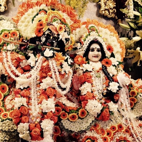 Nila Madhava - The Day After - Part 1 - Rathayatra 2016 at Radha Govinda