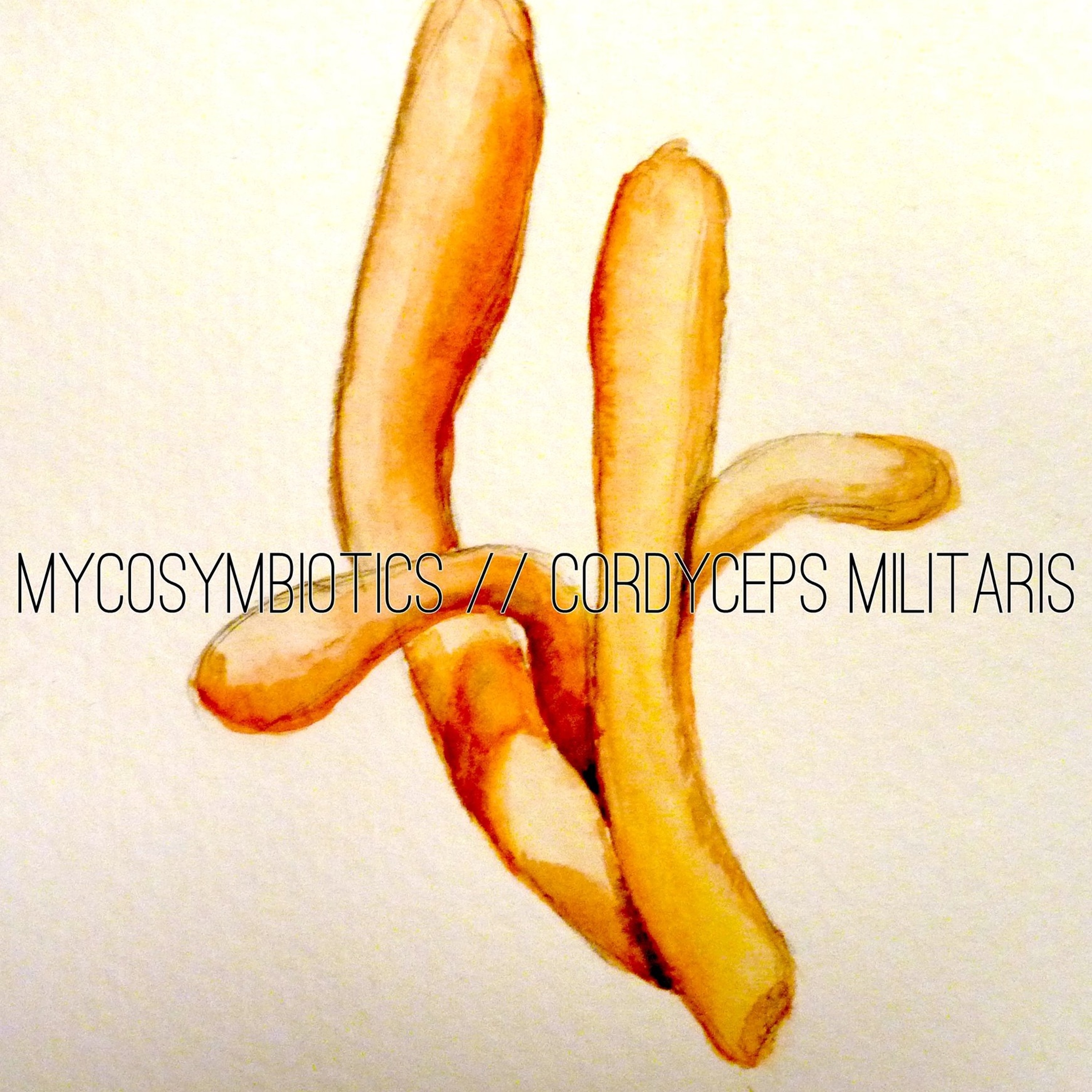 Episode 37 William Padilla Brown Talking MycoSymbiotics, Algae, Fungi, And More