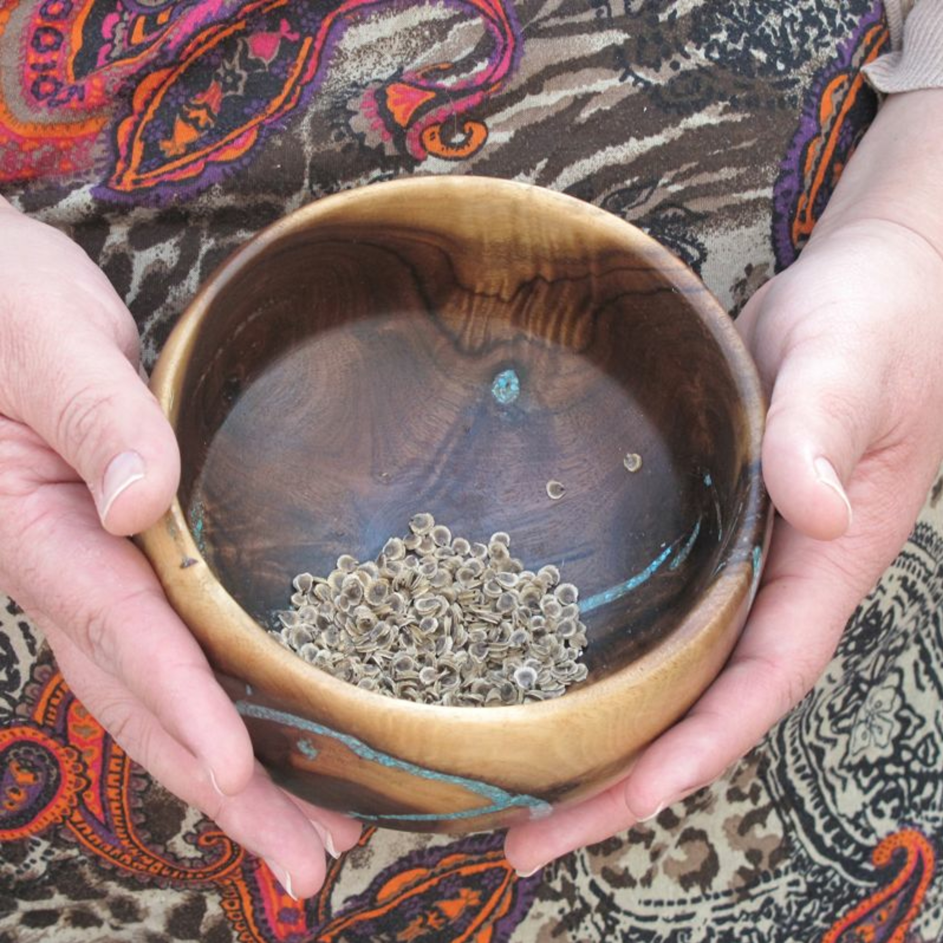 Seed Story Broadcasts