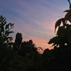 Captivate Soul - Genitive