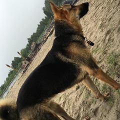 BS - "Lost It All" -Single BS, FT. GY-DonTerri, Biz (co engineered by Castro Productions)