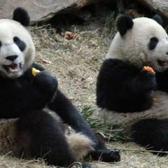 panda REMIX FT PRETTYFACE