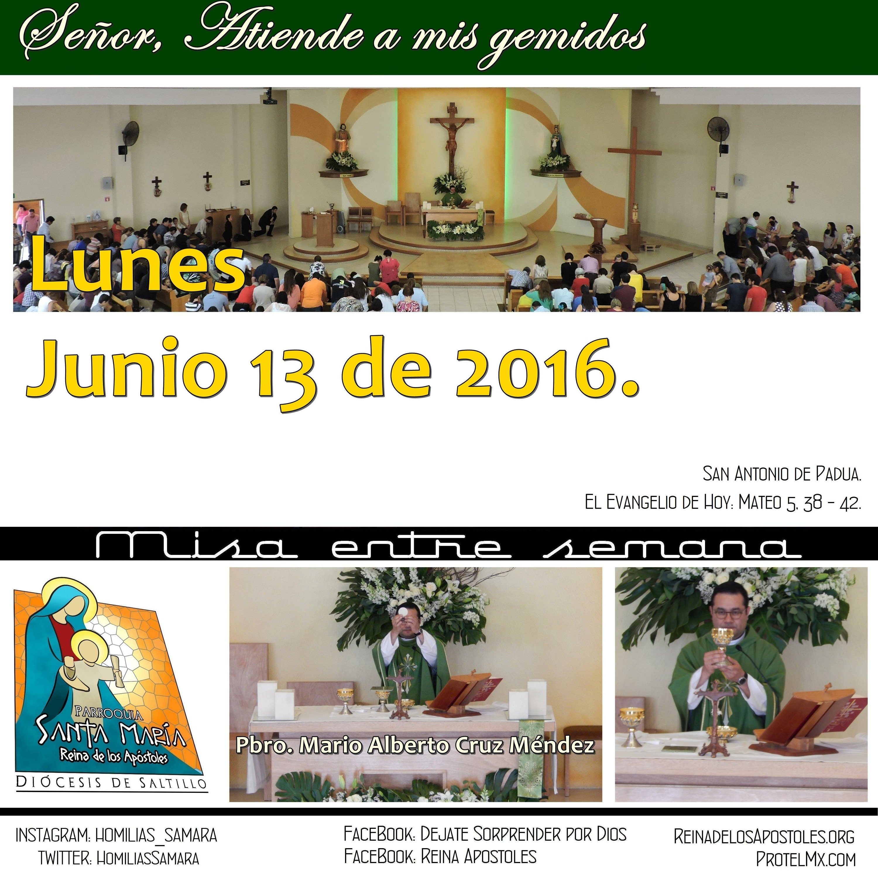 SAMARA_Saltillo #2019