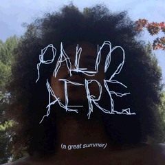palm aire (a great summer)(instrumental)