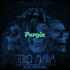 Purgin