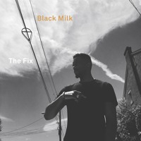 Black Milk - The Fix