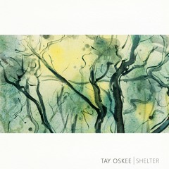 Shelter