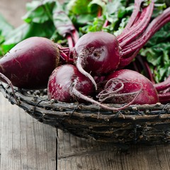 Fresh and Sick Beats
