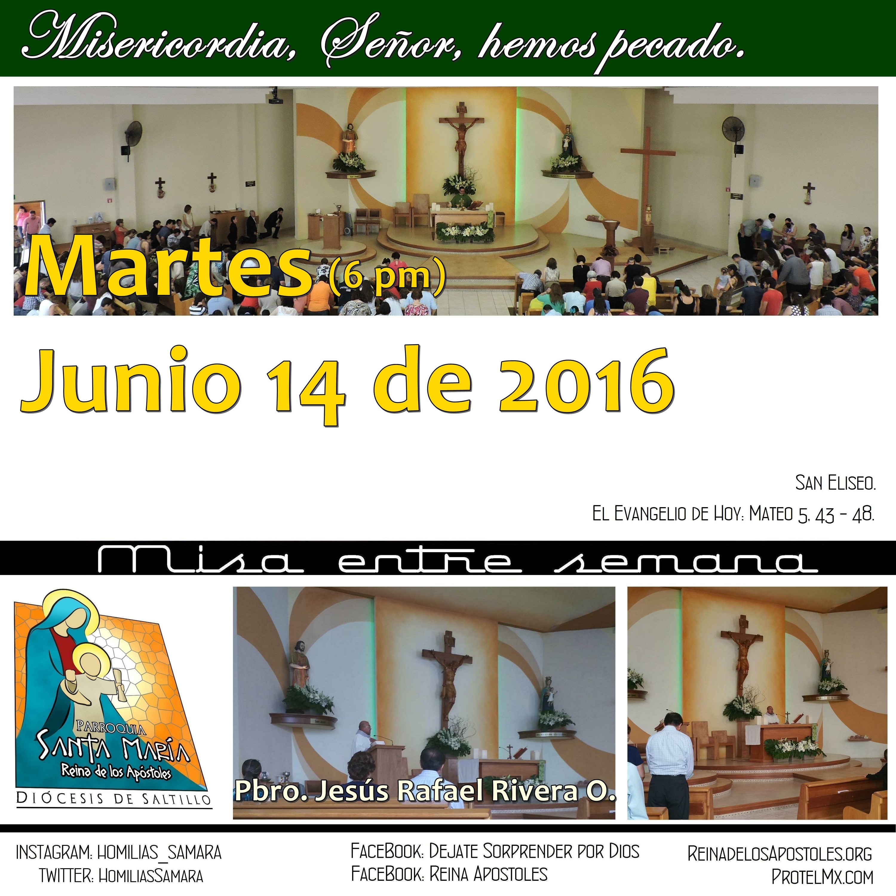 SAMARA_Saltillo #2019
