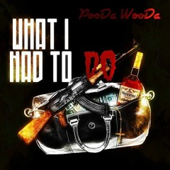 PooDa WooDa Robot- Chicken Talk