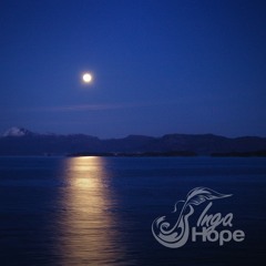 Golden Moonlit Dreams