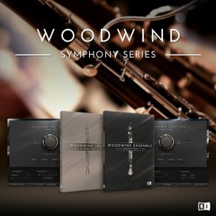 KOMPLETE > SYMPHONY SERIES WOODWIND > 'And Ever More' Demo