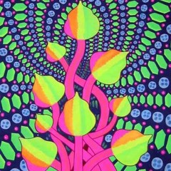 Sharigrama - Mexican Mushroom