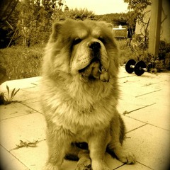 I Lost My Mind On The Road