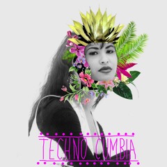 Techno Cumbia - Selena Quintanilla / Dengue Dengue Dengue (PVAEL Mashup)