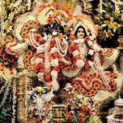 Ram Ji - The Day After - Part 2 - Rathayatra 2016 at Radha Govinda