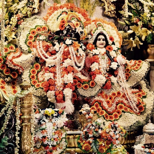 Ram Ji - The Day After - Part 2 - Rathayatra 2016 at Radha Govinda