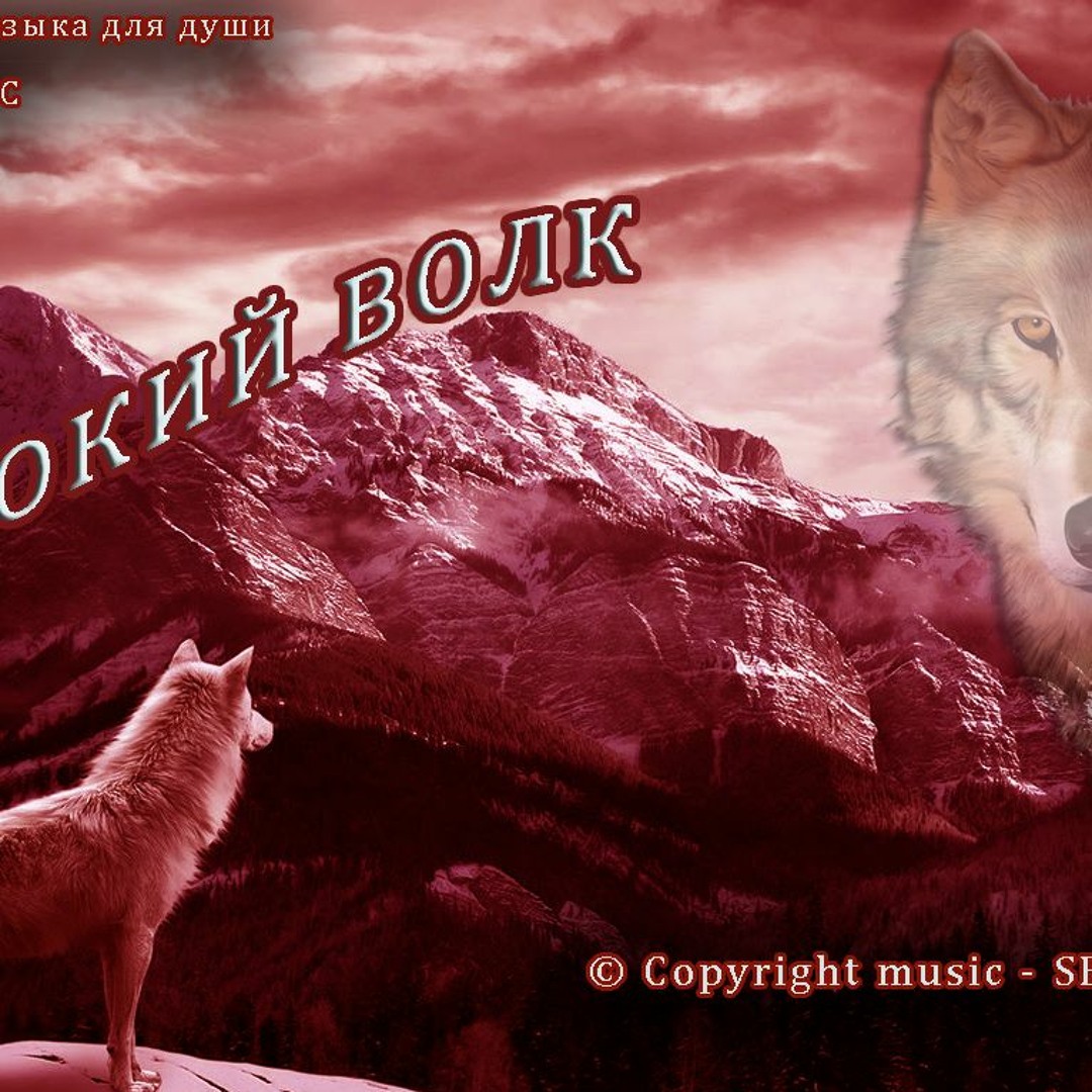 Саундтрек к фильму одинокие волки. Шансон сборник с волками. Alone wolf. Одинокий волк фото. Линди бут волк одиночка.