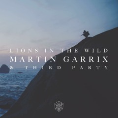 Martin Garrix & Third Party - Lions In The Wild (FL Studio Remake)